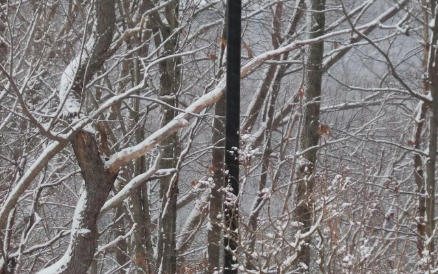 Berkshire Mountain Lodge