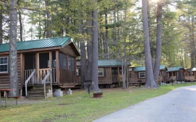 Alpine Lake Lakefront Cabin 7