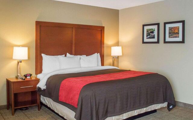 Comfort Inn Mayfield Heights Cleveland East