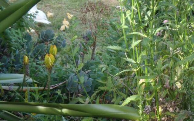 Blackberry Hill Farm