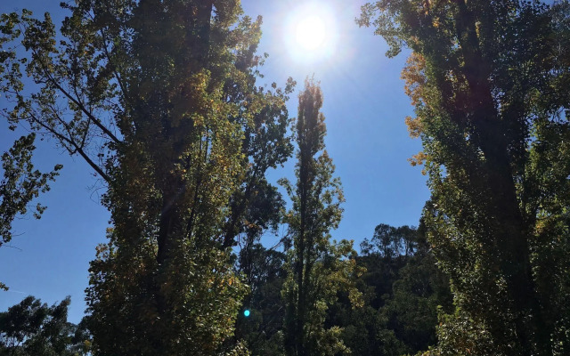 Beechworth Holiday Park