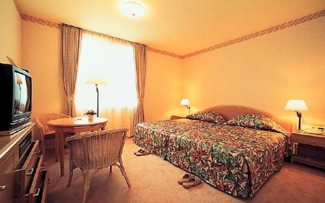 Palace Hotel Hakone