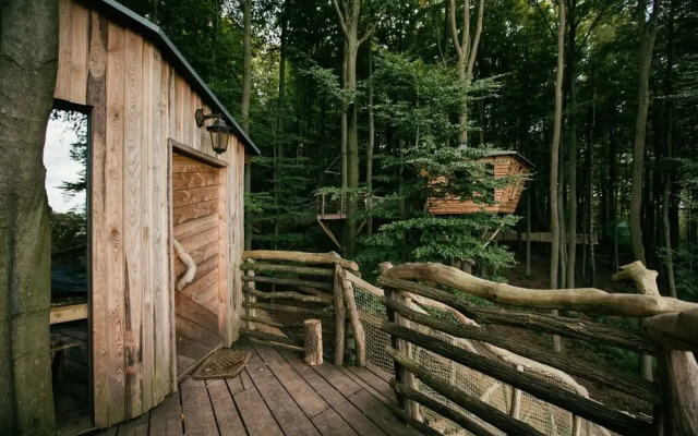 Robins Nest Baumhaushotel