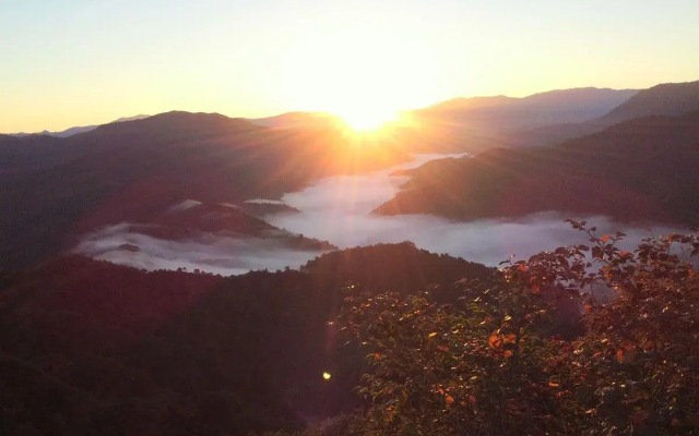 Asahikan
