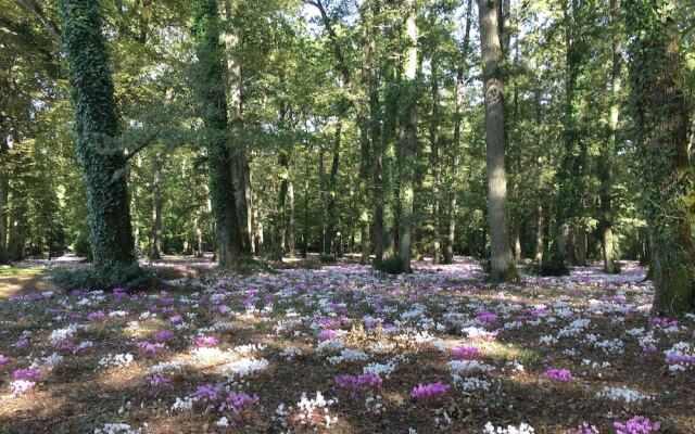Château de Bois Renault