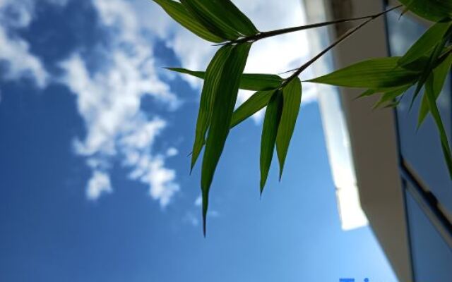 Po return. Slow talk