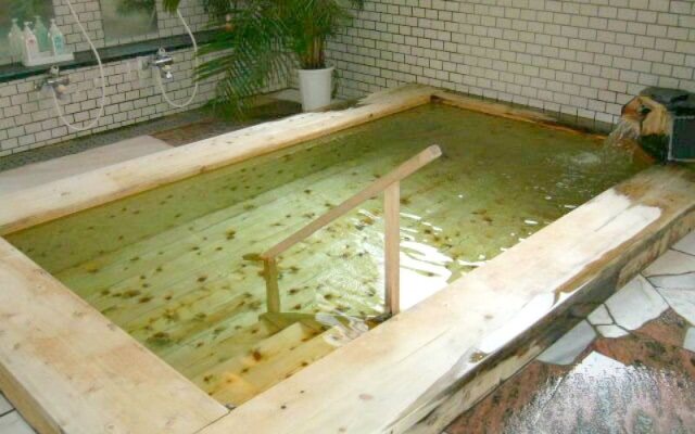 Hotel Shinano Prince Shirakaba