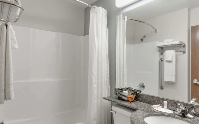 Microtel Inn & Suites by Wyndham Hoover/Birmingham