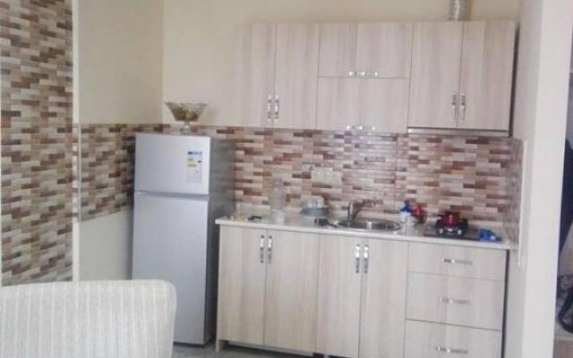 Pushkinis Street 161