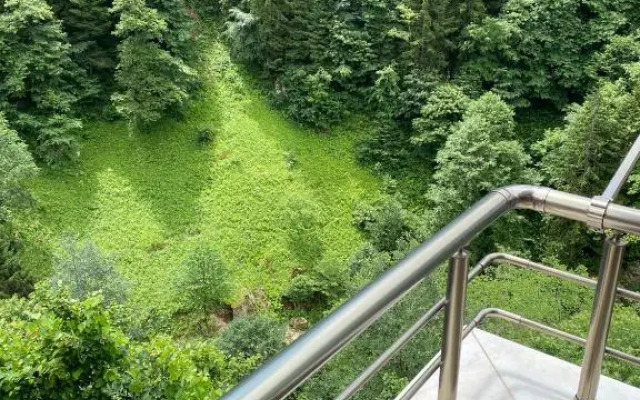Fairytale Nature House - Uzungöl
