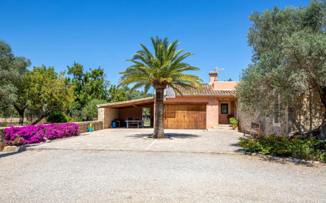 Selva - 3890, Mallorca