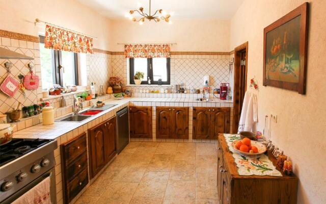 Apartment & Rooms Savonari