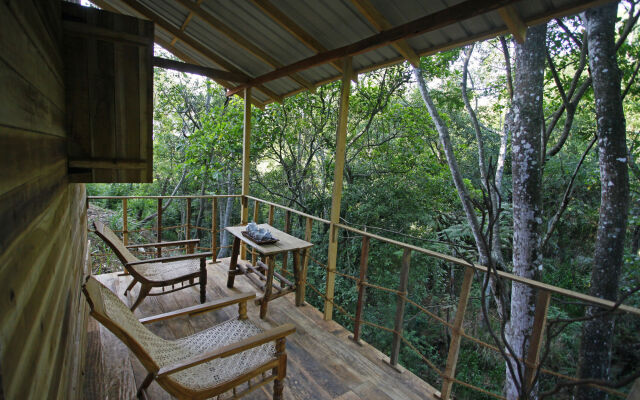 Ella Eco Lodge
