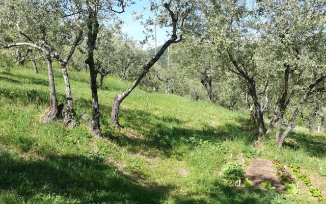 Antica Bottega di Vinci