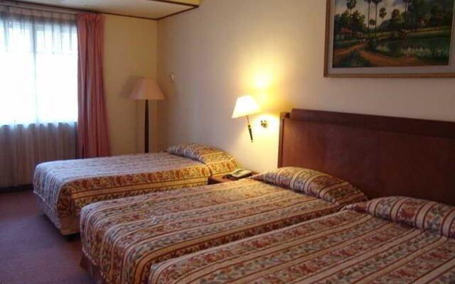 城市中心度假别墅(Holiday Villa City Centre)