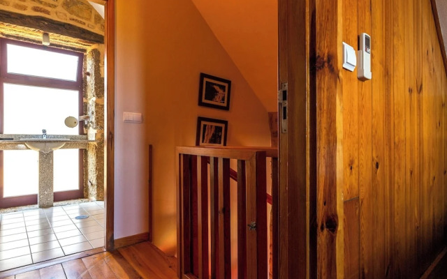 Raízes da Vinha - by Matias Nature