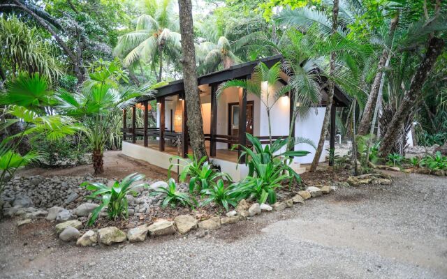 Nekaui Beachfront Villa 2 - Experience Nature