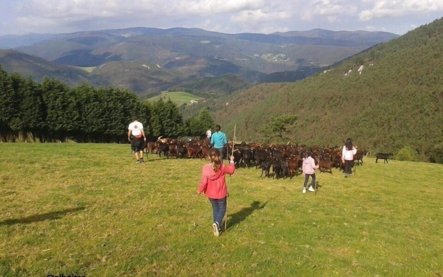 Hotel Rural Yeguada Albeitar