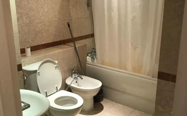 St Johns Wood Terrace Apartment