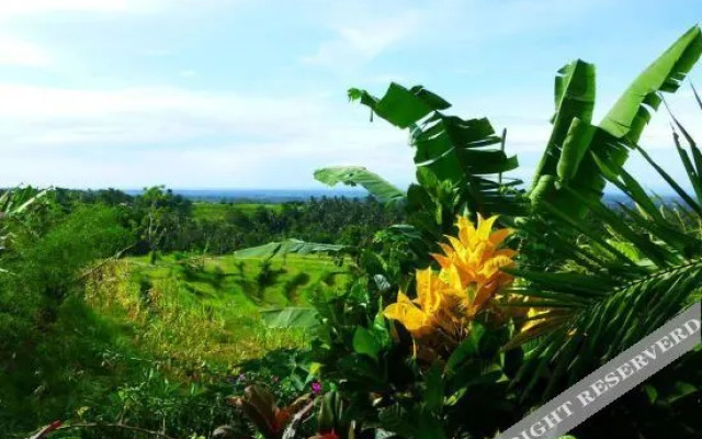 West Bali Villas-Umasari Resort