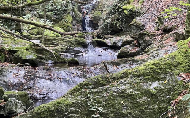 Bio Agriturismo il Vigno