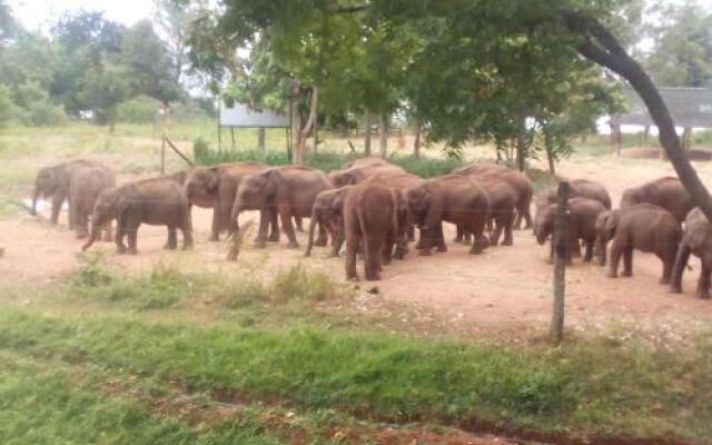 Domain Elephant Bungalow