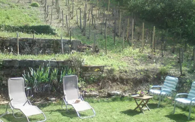 Rhone et Vignes