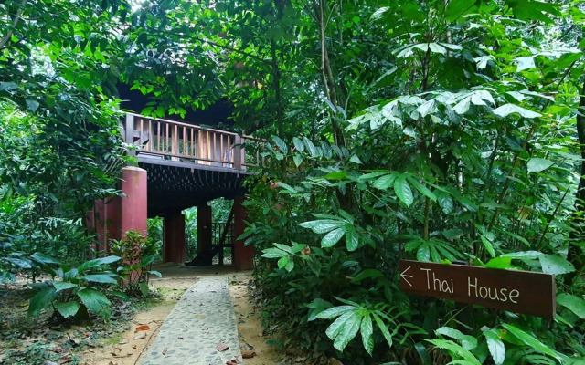 Our Jungle House