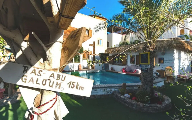 Villa With Pool BBQ Grill Garden Beduintent Sunbeds Jacuzzi
