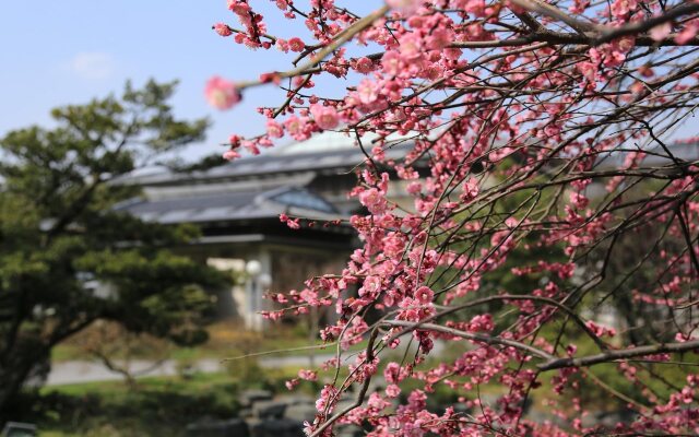 Dongjiao State Guest Hotel