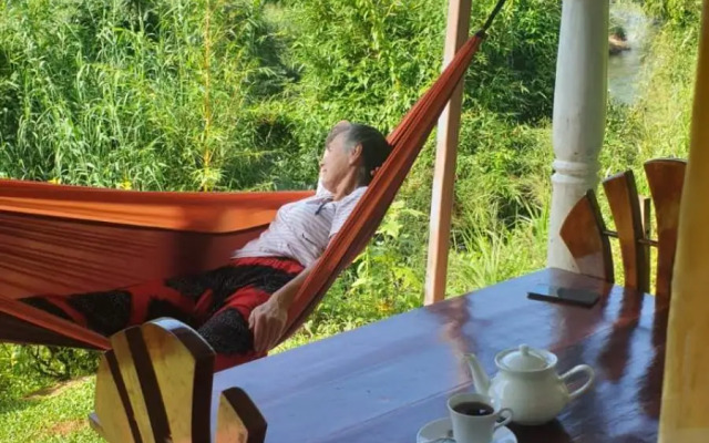 Rainforest River Edge