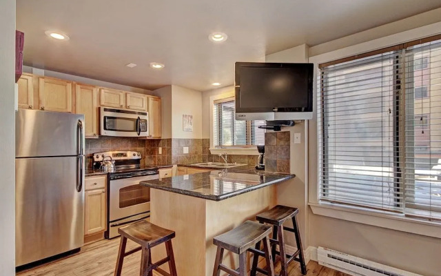 Village at Breck V4309