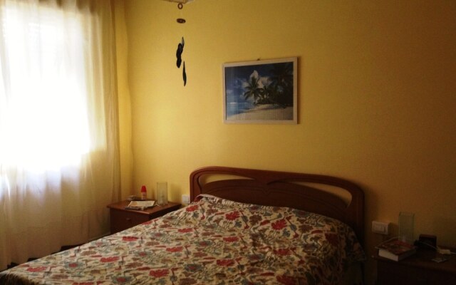 Il Girasole - The Sunflower
