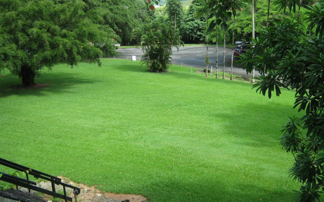 Daintree Riverview