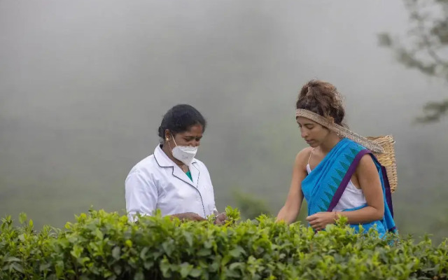 Heritance Tea Factory
