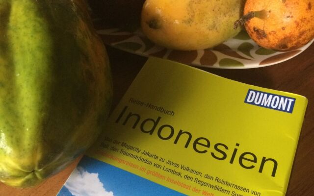 Mango Tree Dipudjo Homestay