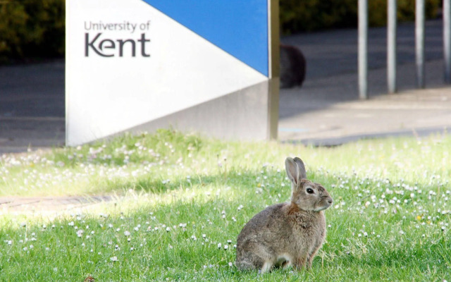 Turing College - University of Kent