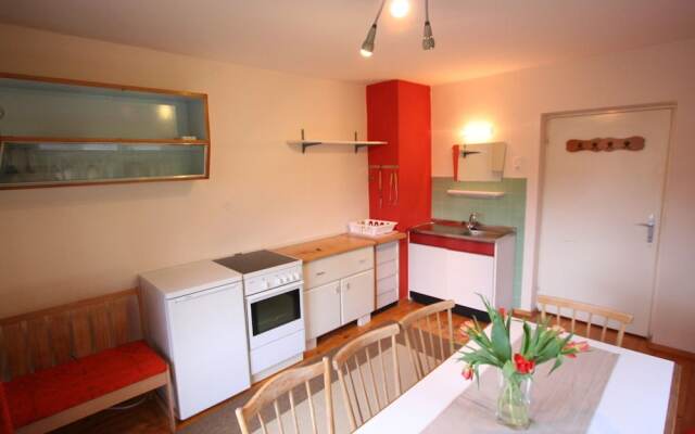 Lovely Pet-friendly Apartment in Hopfgarten