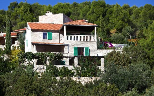 Apartments Villa More