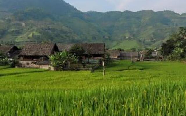 Organic Farm Homestay