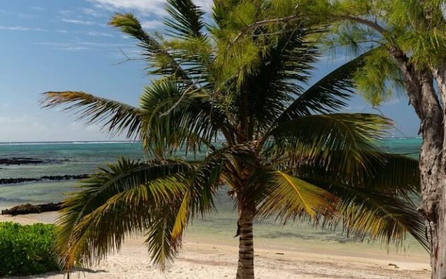 Koki Bonheur Beachfront Villa by StayMauritius