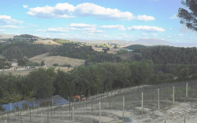 "podere Caldaruccio La Pineta - Torretta"