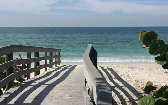 The Mermaid and the Sea Turtle