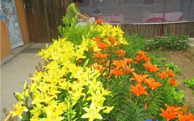 Baili Landscape Gallery Hu Jia Courtyard Homestay