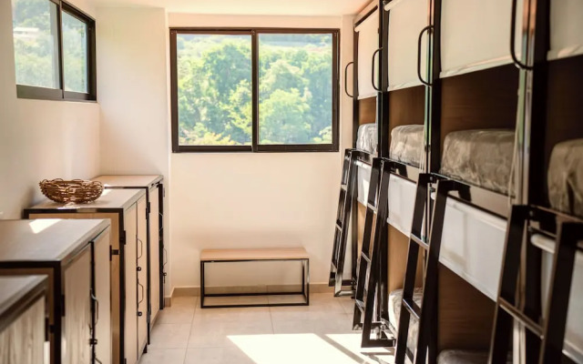 Trip Monkey del Río