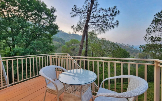Musical Paradise Kasauli