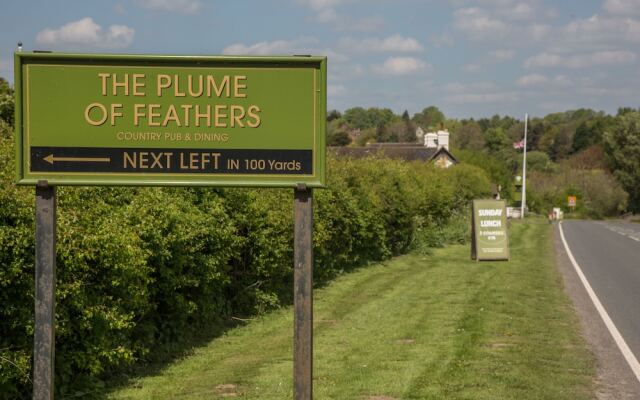 The Plume of Feathers, A458