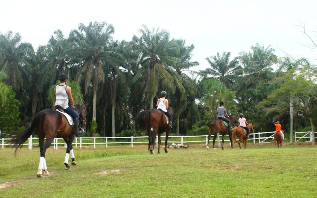 Riders Lodge Resort - The Original