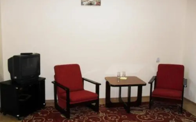 Астера — фото