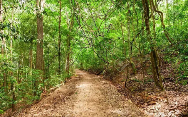 Taylors Hill Boutique Hotel